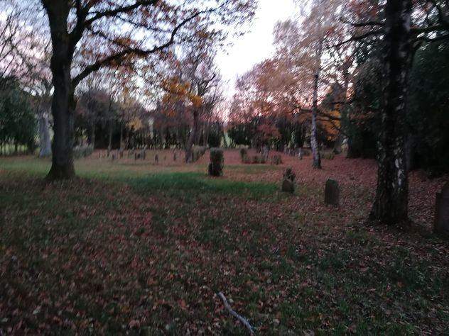 3 Judenfriedhof Nov 2021 small