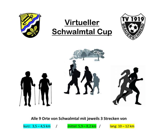 Logo Virtueller Schwalmtal Cup small